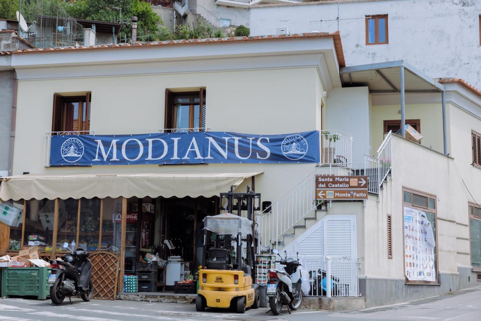 فيكو إيكوينس Modianus Suite المظهر الخارجي الصورة